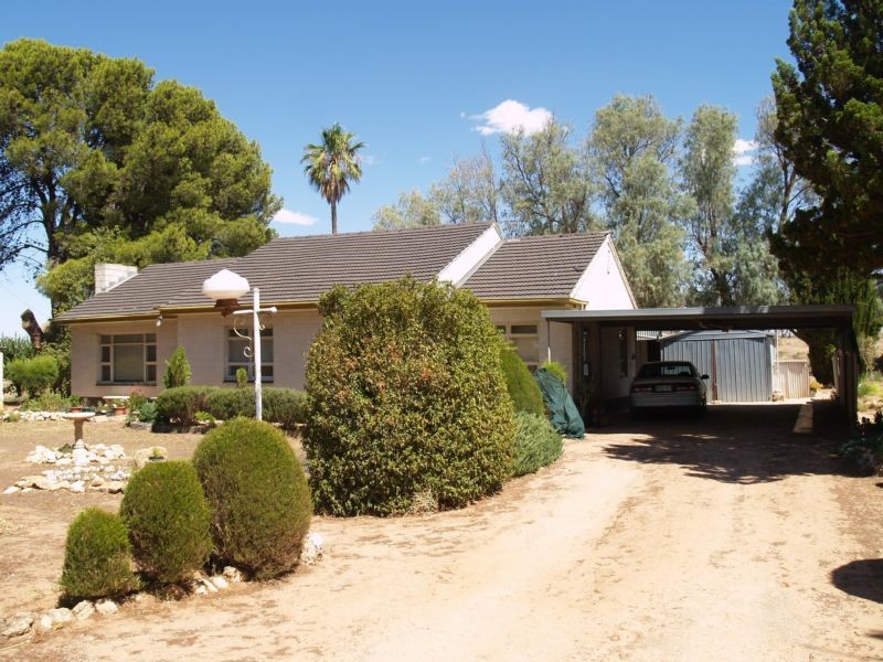 454 Schultz Road, Kanni SA 5330