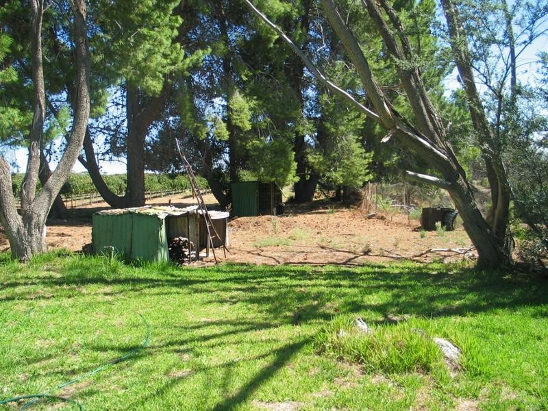 Lot Cadell Road, Waikerie SA 5330