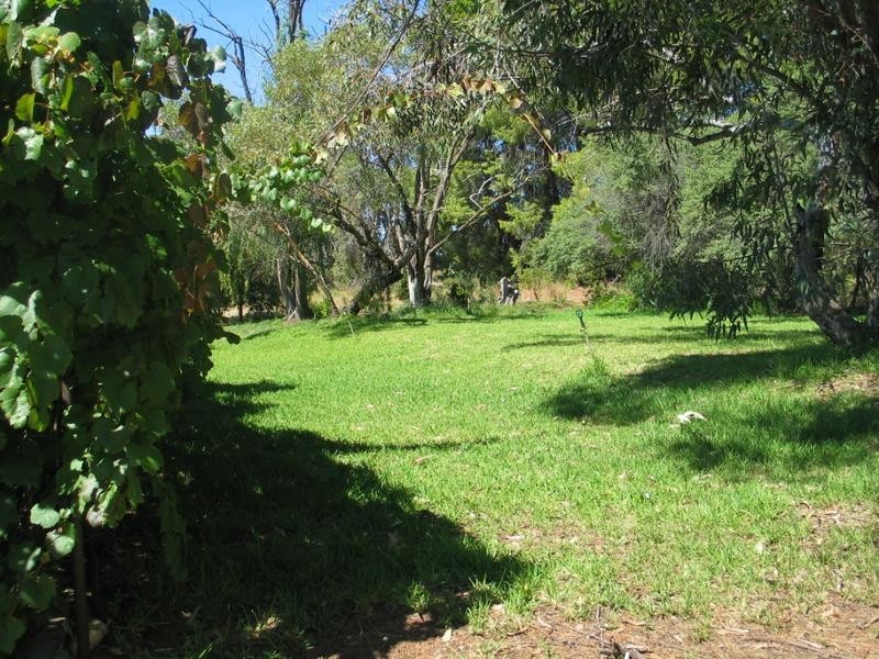 Lot Cadell Road, Waikerie SA 5330