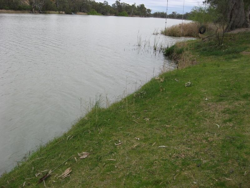Lot 61 Pelican Point, Morgan SA 5320