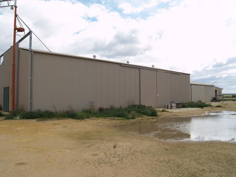 Lot 823 Anzac Ave, Swan Reach SA 5354