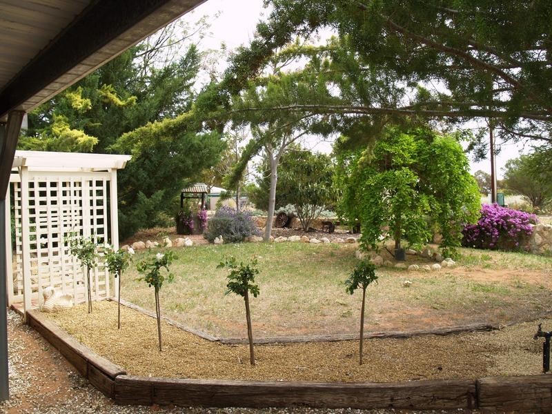 5 Thomas Street, Waikerie SA 5330