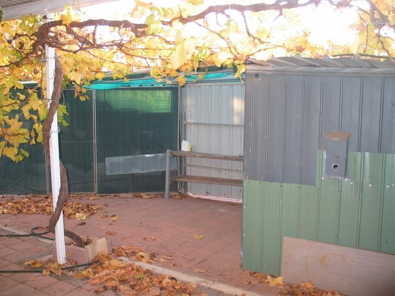 4 Edwards Crescent, Waikerie SA 5330