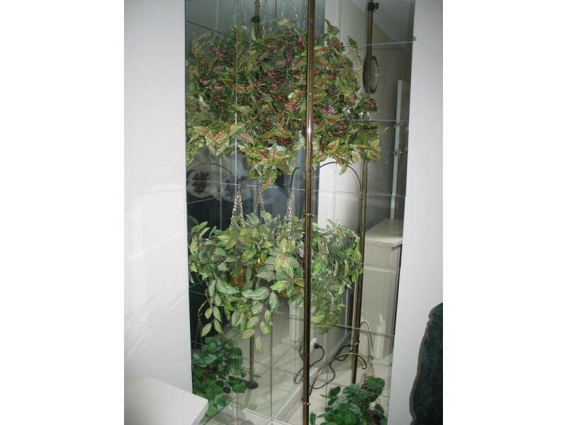 22 Jacobs Street, Waikerie SA 5330