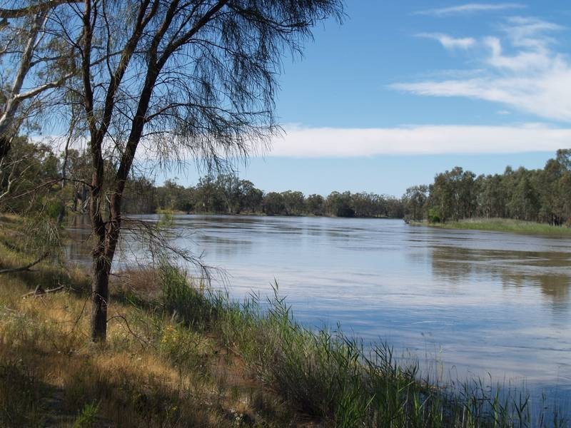 Section 92 Nikalapko Boundary Road, TAYLORVILLE, Morgan SA 5320