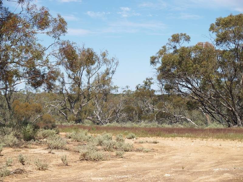 Section 92 Nikalapko Boundary Road, TAYLORVILLE, Morgan SA 5320