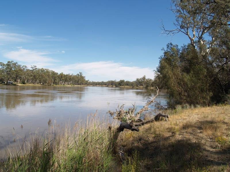 Section 92 Nikalapko Boundary Road, TAYLORVILLE, Morgan SA 5320