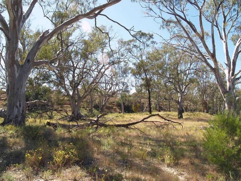 Section 92 Nikalapko Boundary Road, TAYLORVILLE, Morgan SA 5320