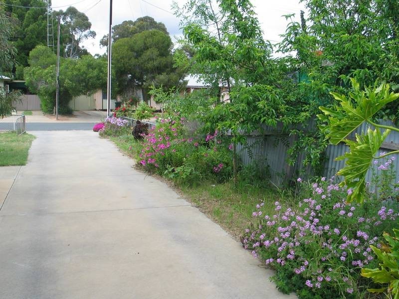 29 Jacobs Street, Waikerie SA 5330