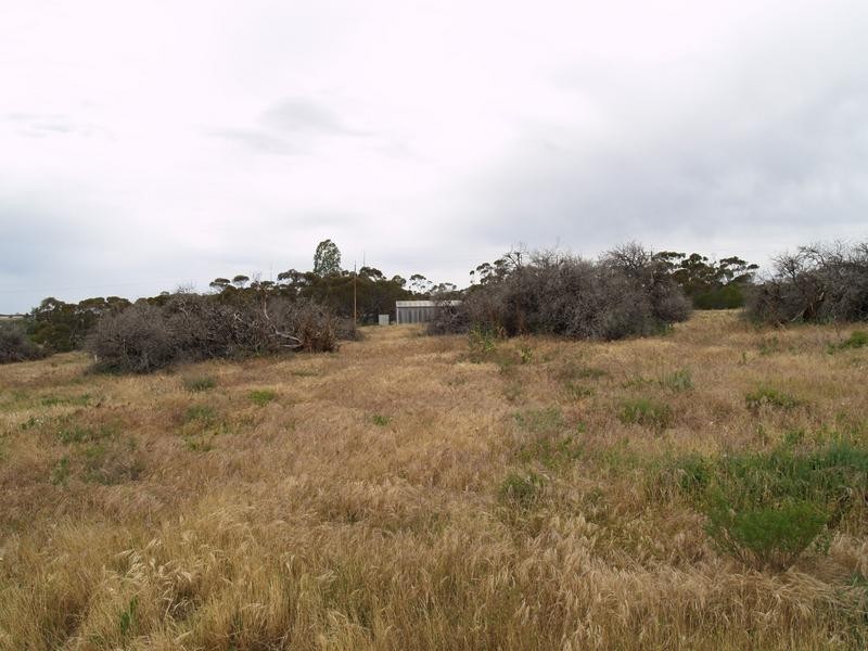 Lot 100 Cadell Road, Cadell SA 5321