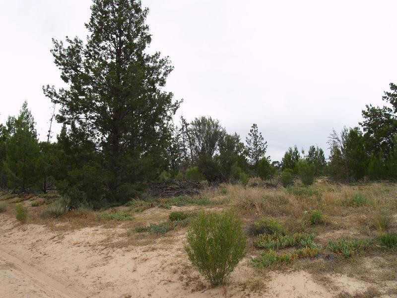 Lot 100 Cadell Road, Cadell SA 5321