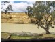 40 Riverbanks Estate, Blanchetown SA 5357