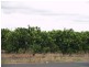 Lot 113 Thompson Rd, Sunlands SA 5322