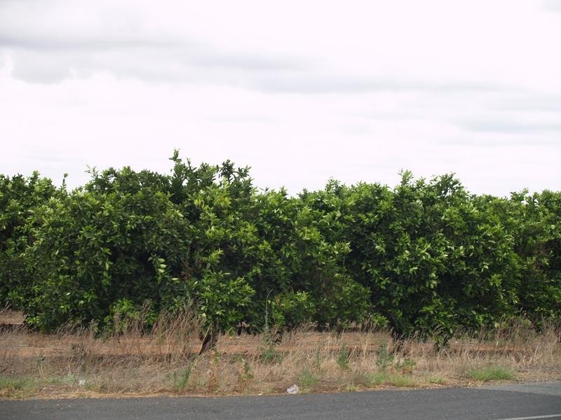 Lot 113 Thompson Rd, Sunlands SA 5322