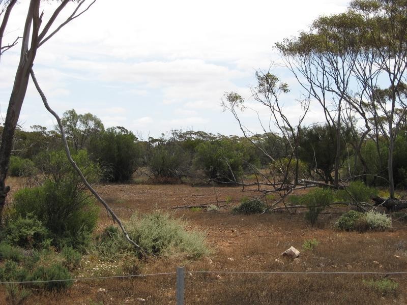 Lot 2, Lot Bakara, Swan Reach SA 5354