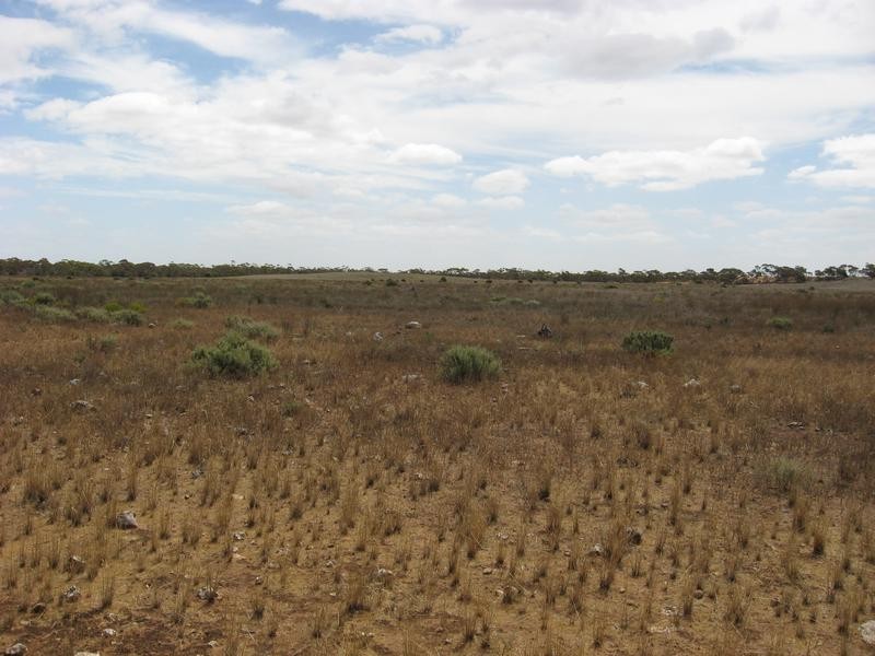 Lot 2, Lot Bakara, Swan Reach SA 5354