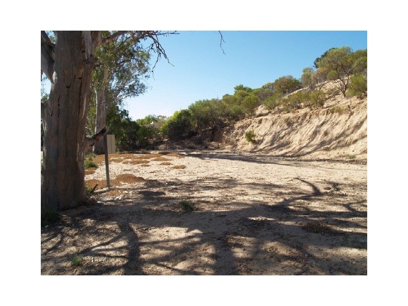 Lot 50-51 Idyll Acres, Morgan SA 5320