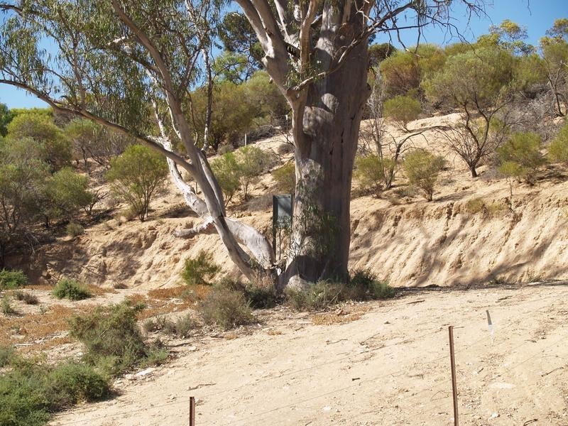 Lot 50-51 Idyll Acres, Morgan SA 5320