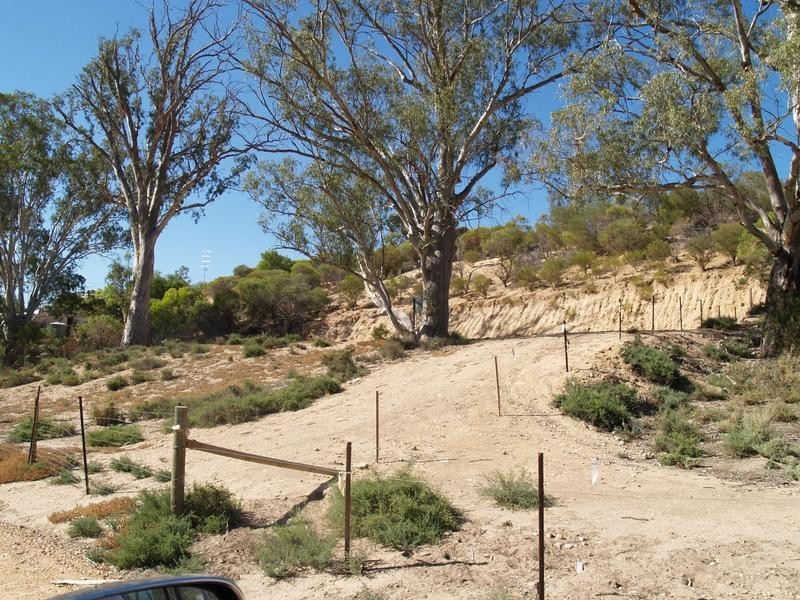 Lot 50-51 Idyll Acres, Morgan SA 5320