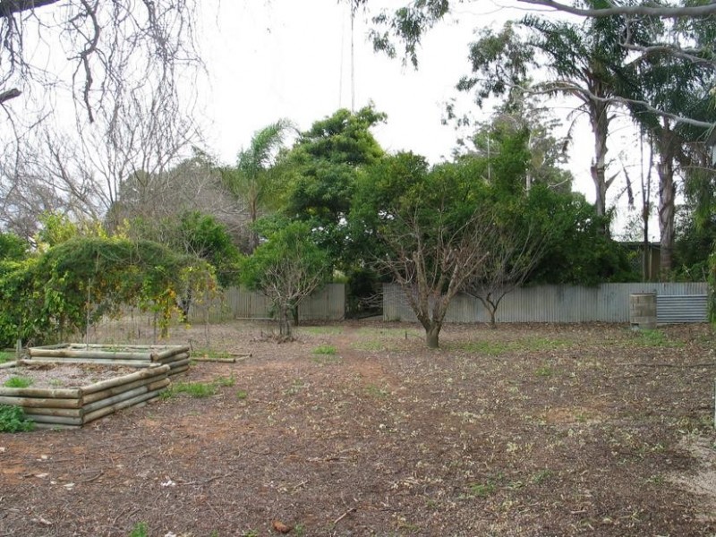 150 Vasey Road, Waikerie SA 5330