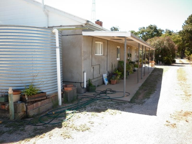 128 Vasey Road, Waikerie SA 5330