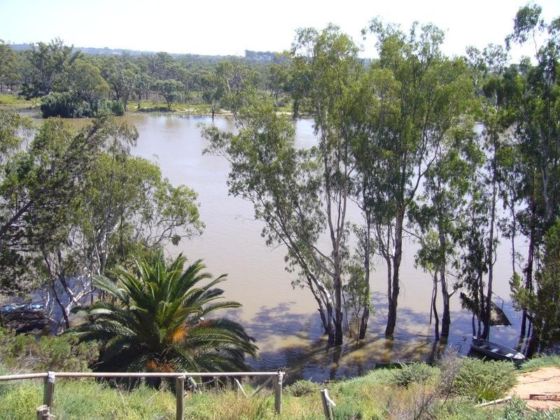 324 Ramco Road, Waikerie SA 5330