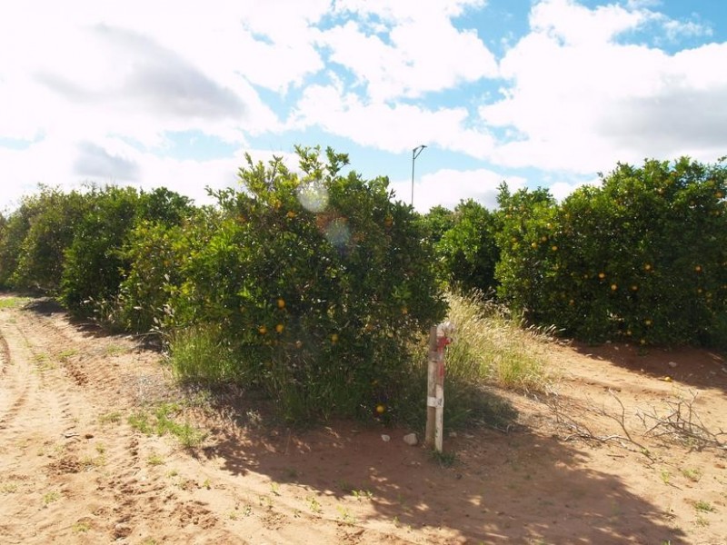 Lot 222,  Playford Road, Sunlands SA 5322