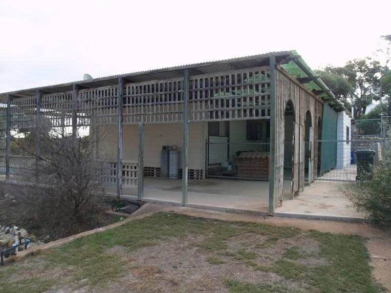 24 Fourth Street, Morgan SA 5320