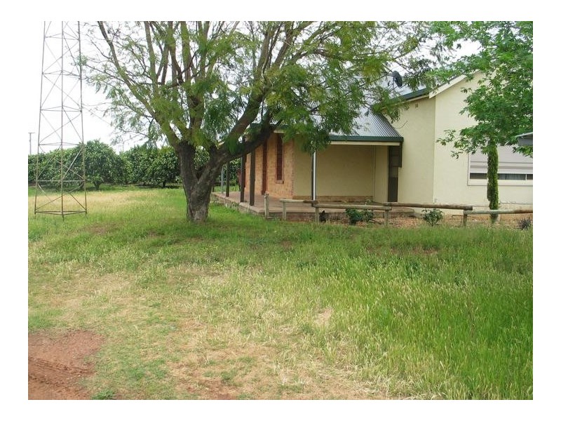 Lot 206, 206 Blanchetown Rd, Waikerie SA 5330