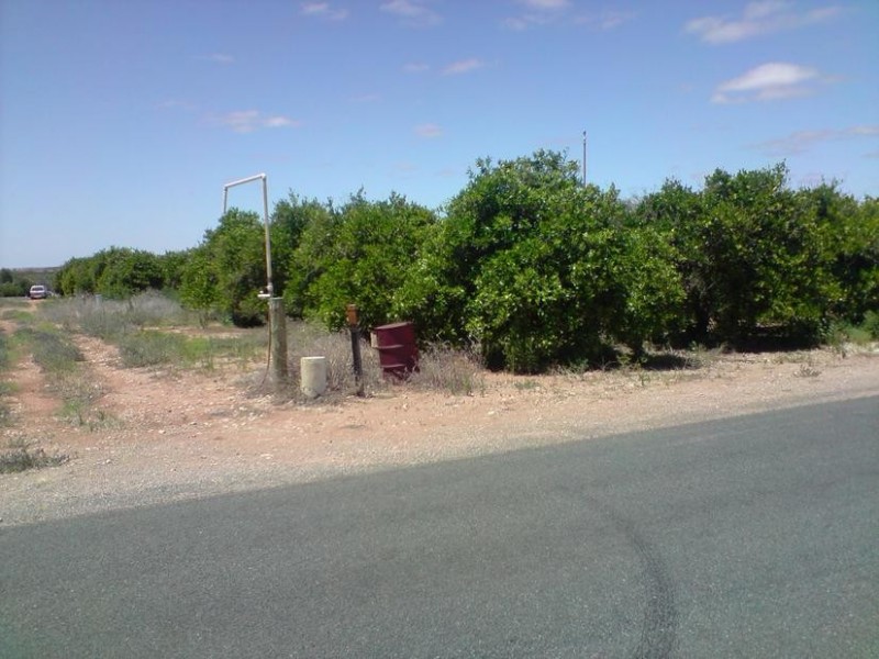 238 Medley Road, Sunlands SA 5322