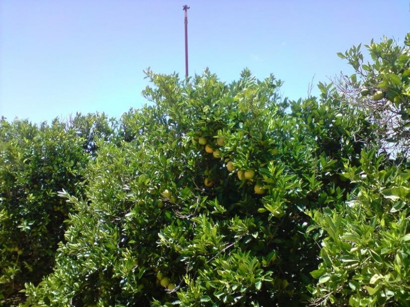 238 Medley Road, Sunlands SA 5322