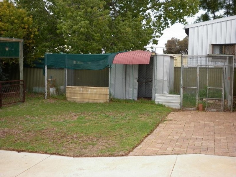 3 Second Street, Morgan SA 5320