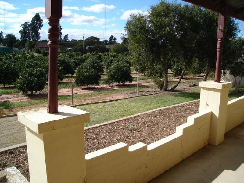 453 Ramco Road, Waikerie SA 5330