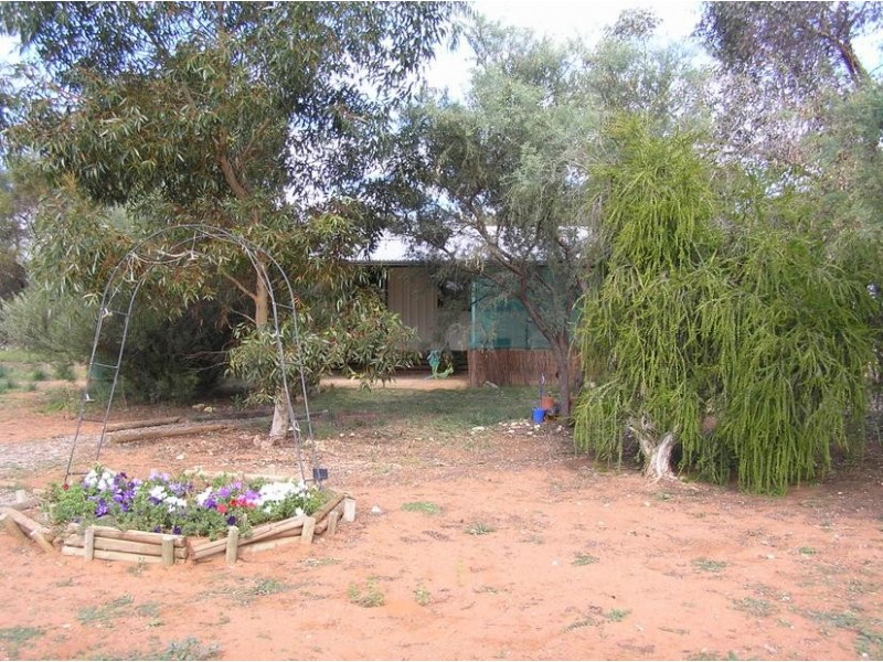 12526 Sturt Highway, Waikerie SA 5330