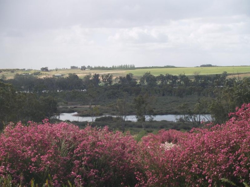 260 Ramco Road, Waikerie SA 5330