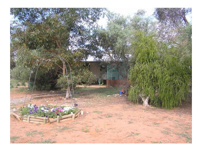 12526 Sturt Highway, Waikerie SA 5330