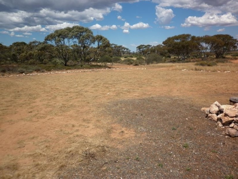 Sect 294 Hundred of Eba, Morgan SA 5320