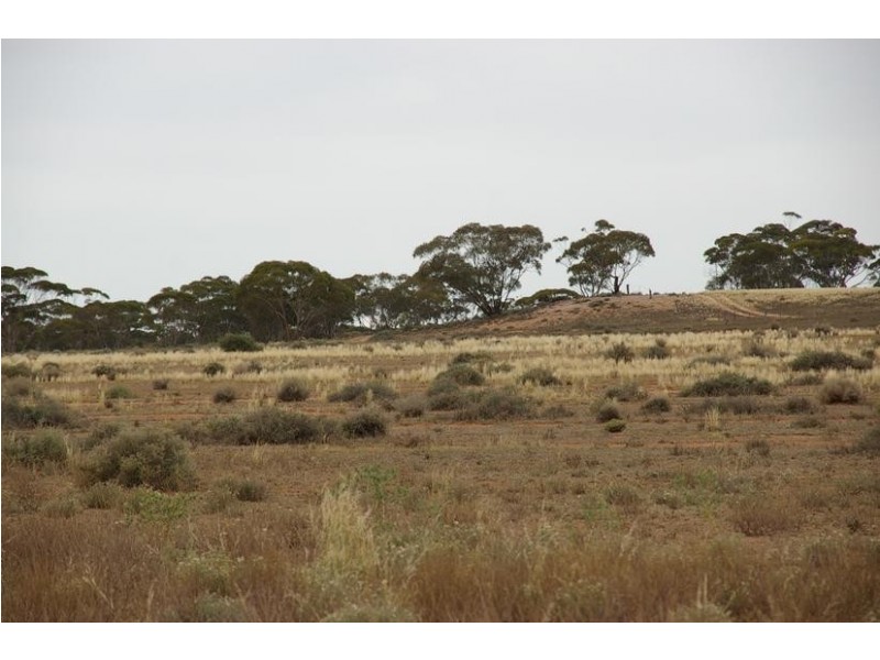 Sect 294 Hundred of Eba, Morgan SA 5320