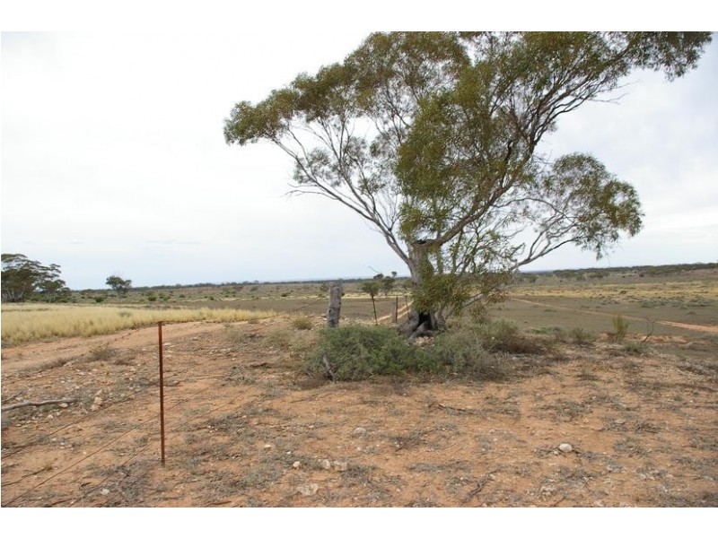 Sect 294 Hundred of Eba, Morgan SA 5320
