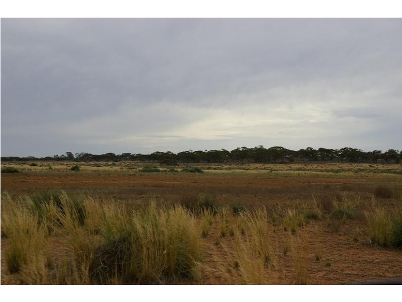 Sect 294 Hundred of Eba, Morgan SA 5320