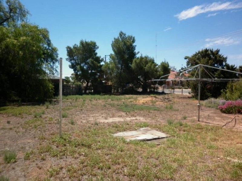 12 Eighth Street, Morgan SA 5320