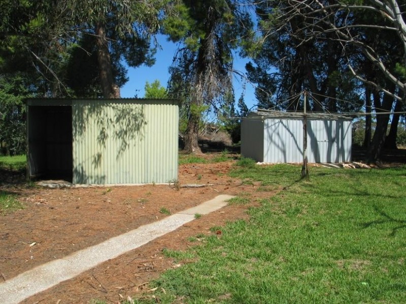 259 Cadell Valley Rd, Hogwash, Waikerie SA 5330