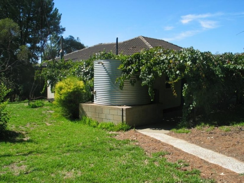 259 Cadell Valley Rd, Hogwash, Waikerie SA 5330