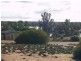 Lot 28/ Ridgeway Estate, Morgan SA 5320