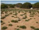 Lot 28/ Ridgeway Estate, Morgan SA 5320