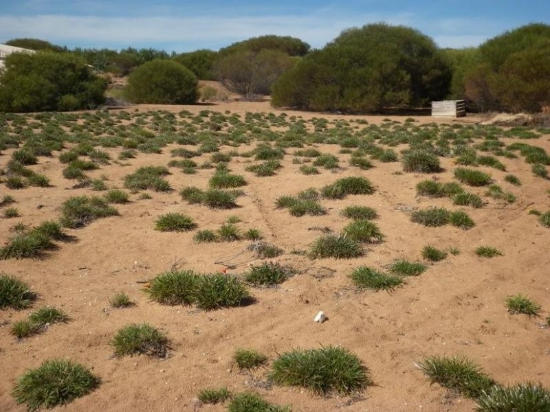 Lot 28/ Ridgeway Estate, Morgan SA 5320