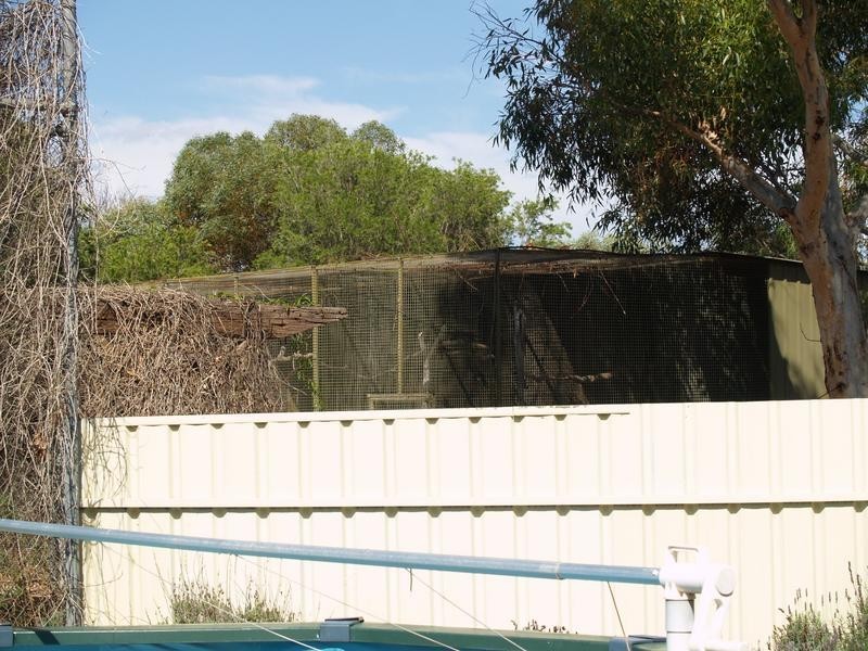 83 Pope Road, Waikerie SA 5330