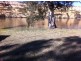 Lot 103 Riverbanks Estate, Blanchetown SA 5357