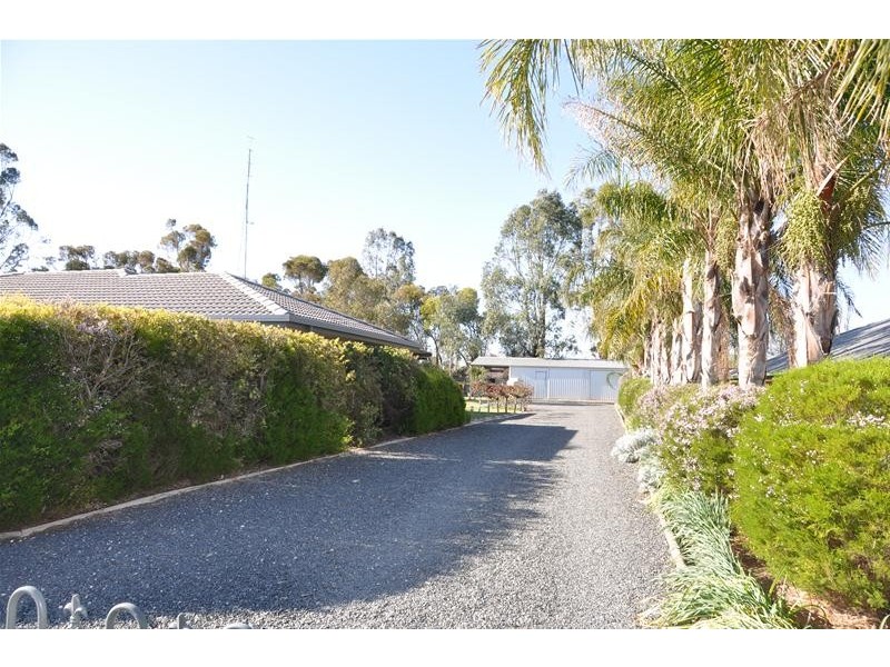 218 Medley Road, Waikerie SA 5330