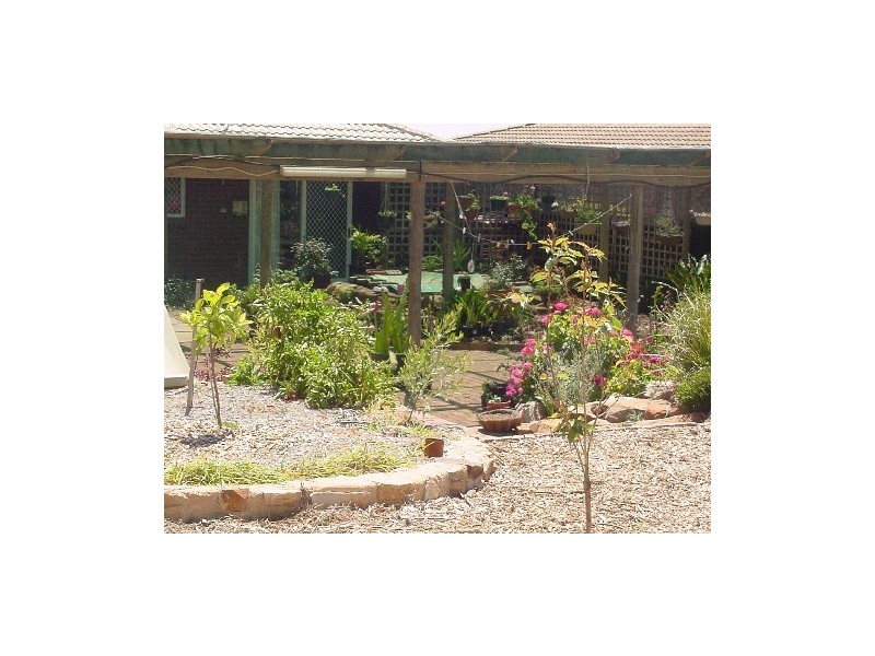 19 West Road, Waikerie SA 5330